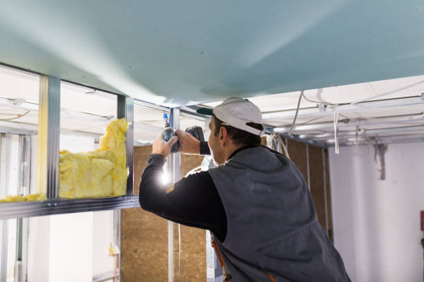 Best Attic Insulation Installation  in USA